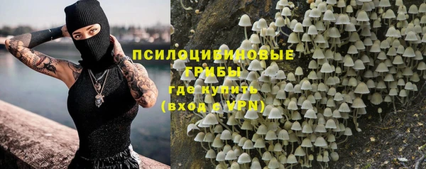 герыч Алексин