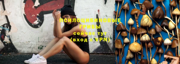 ECSTASY Алзамай